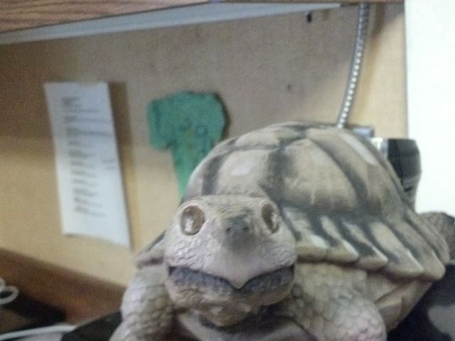 Photo of Northwest College