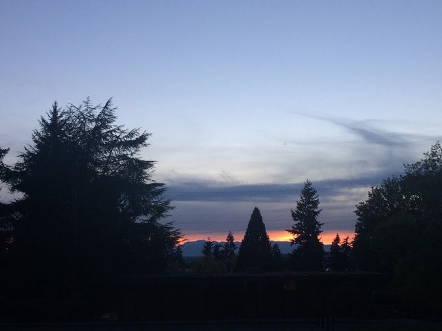 Photo of Northwest University-College of Adult and Professional Studies