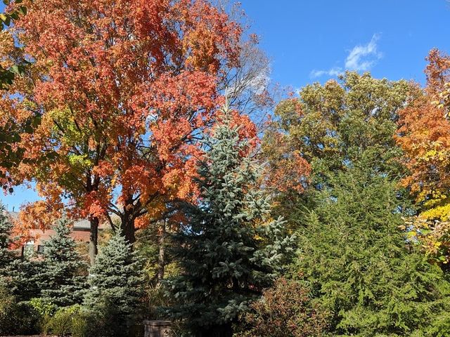 Photo of Northeast Ohio Medical University