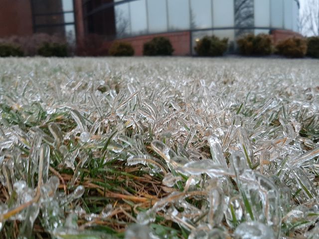 Photo of Northeast Ohio Medical University