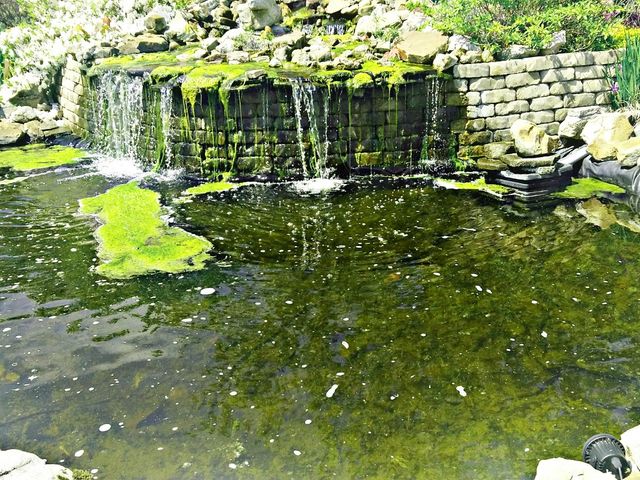 Photo of Northeast Alabama Community College