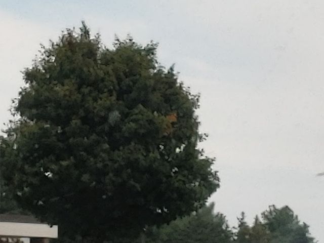 Photo of Northeast Iowa Community College