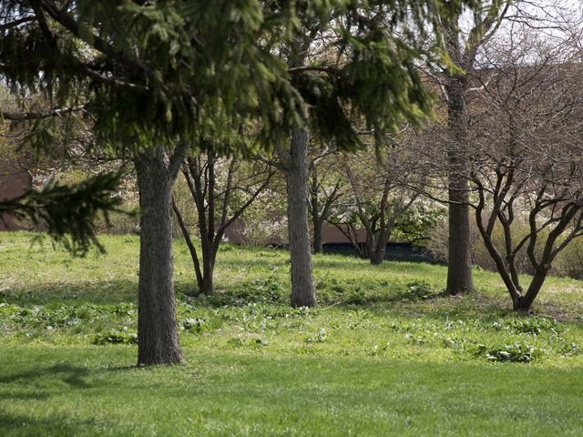 Photo of Northeastern Illinois University