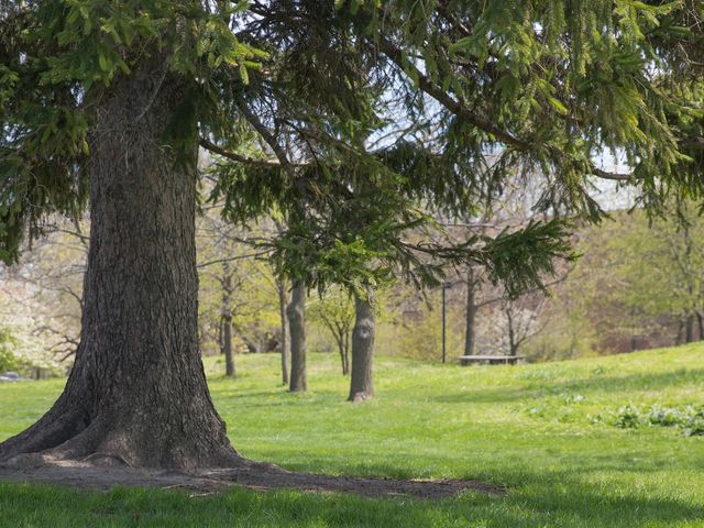Photo of Northeastern Illinois University