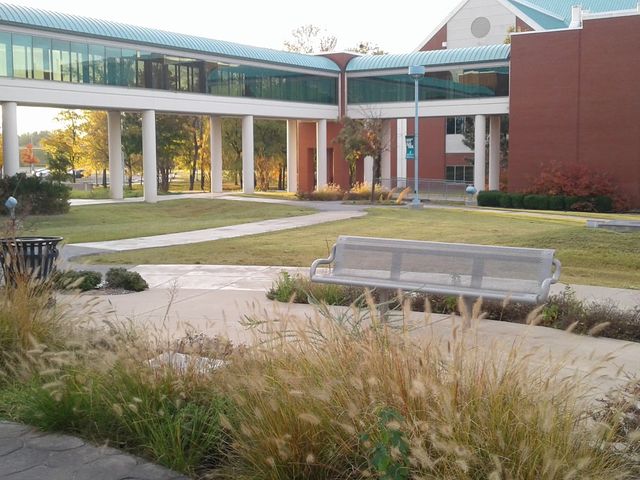 Photo of Northeastern State University