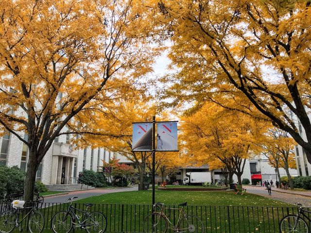 Photo of Northeastern University