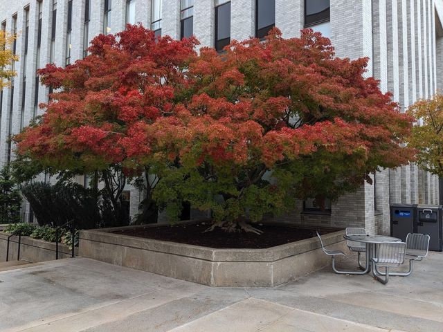 Photo of Northeastern University