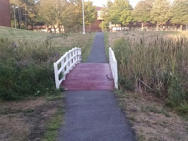 Photo of Northern Essex Community College