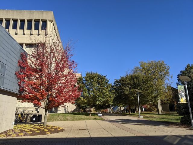 Photo of Northern Kentucky University