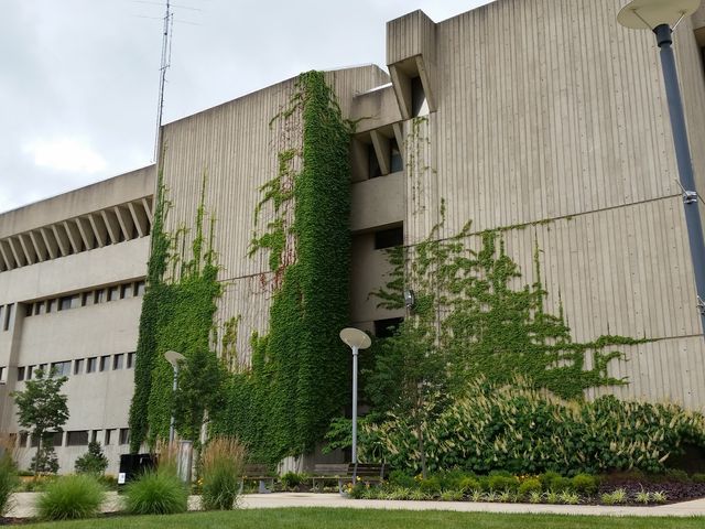 Photo of Northern Kentucky University