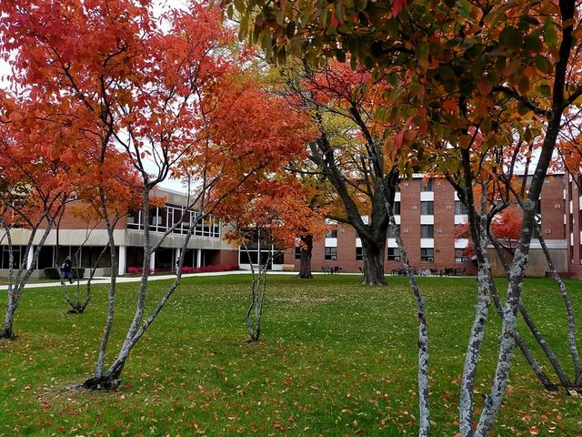 Photo of Northern Illinois University