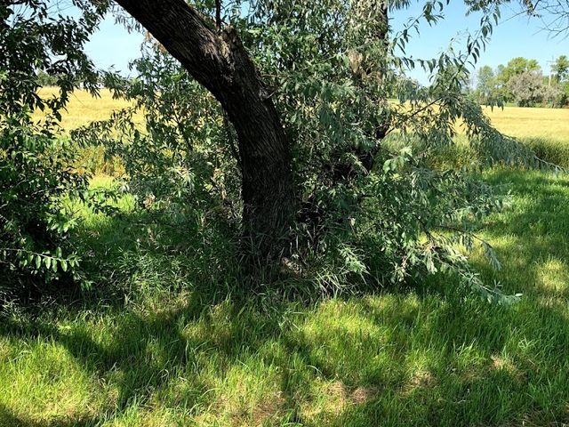 Photo of Northland Community and Technical College - East Grand Forks
