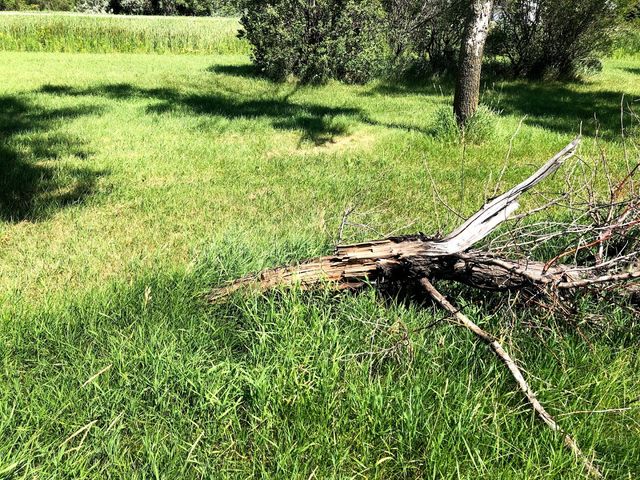 Photo of Northland Community and Technical College - East Grand Forks