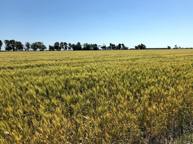 Photo of Northland Community and Technical College - East Grand Forks
