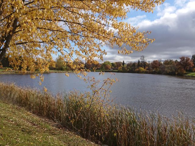 Photo of Northland Community and Technical College