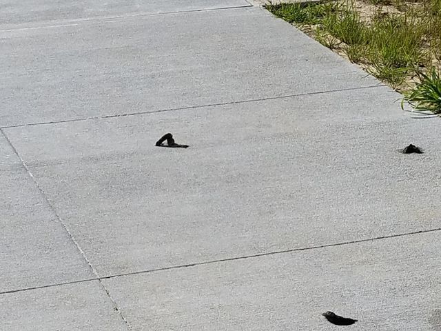 Photo of Northshore Technical Community College