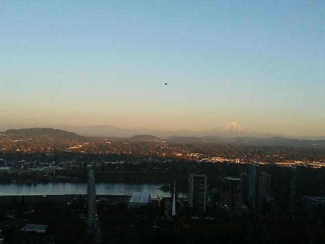 Photo of National University of Natural Medicine