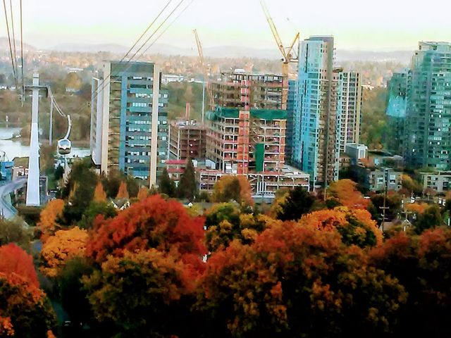 Photo of National University of Natural Medicine