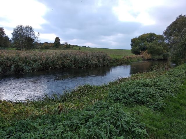 Photo of Naturlegeplads