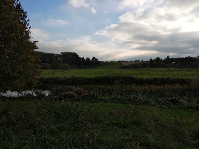 Photo of Naturlegeplads