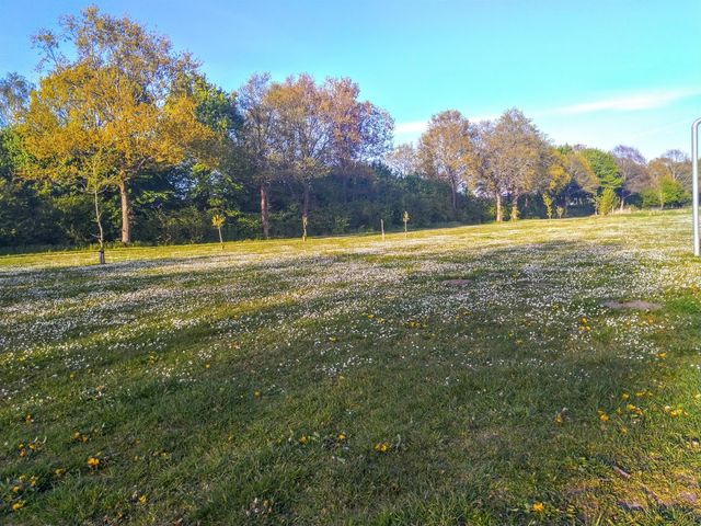 Photo of Naturlegeplads