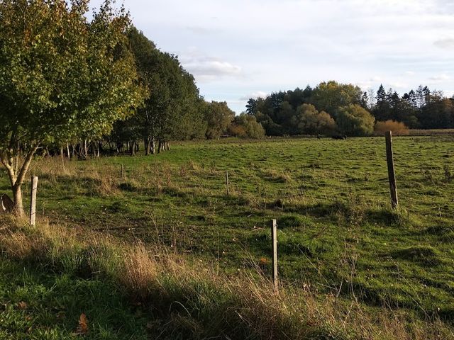 Photo of Naturlegeplads