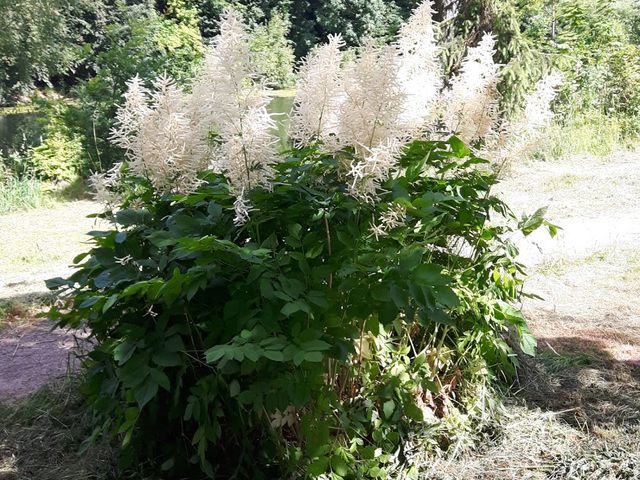 Photo of Naturlegeplads Mariehøj, Gl. Holte