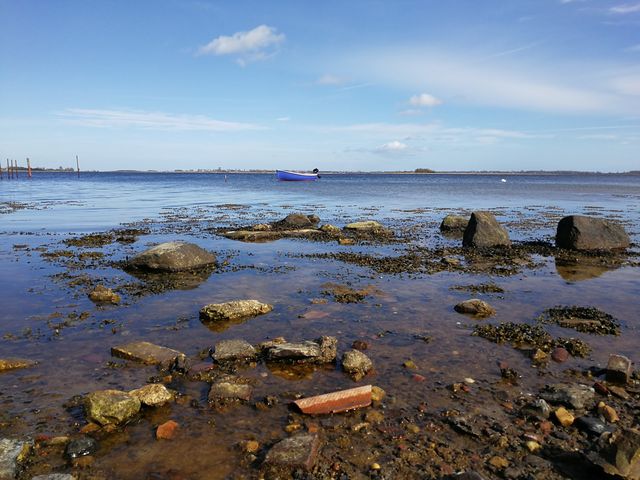 Photo of Naturlegepladsen