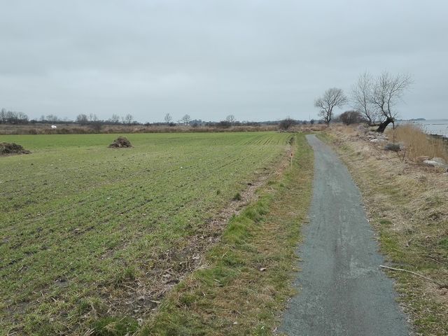 Photo of Naturlegepladsen