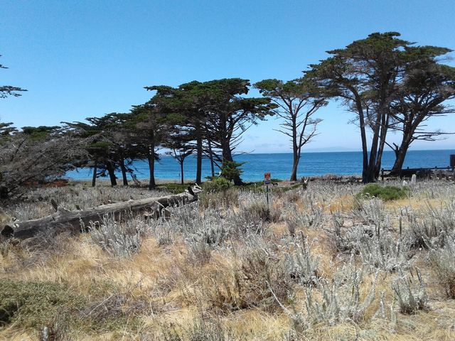 Photo of Naval Postgraduate School