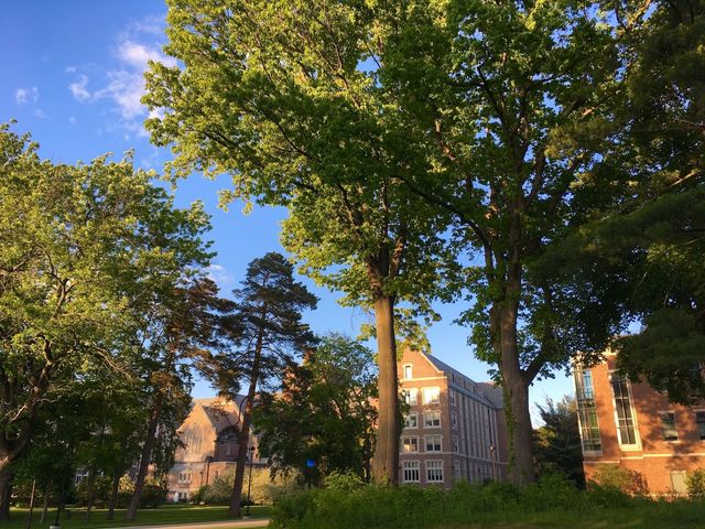 Photo of Nazareth College