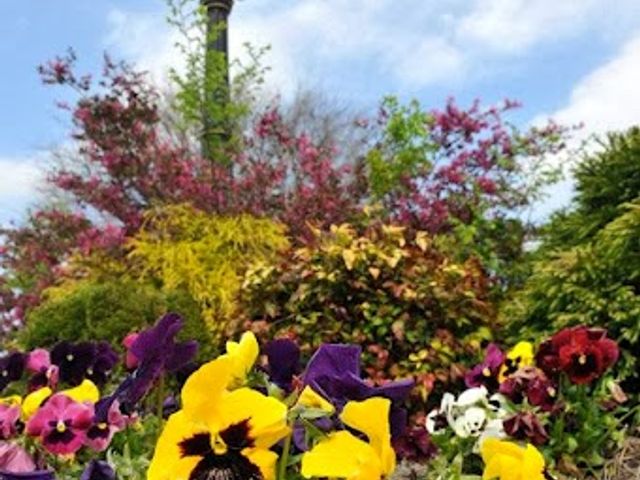 Photo of Nash Community College