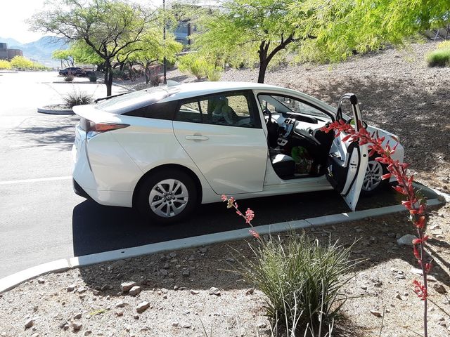 Photo of Nevada State College