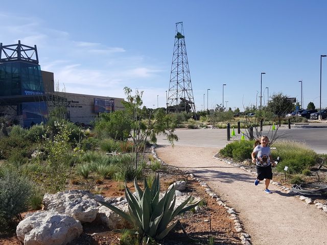 Photo of New Mexico Junior College