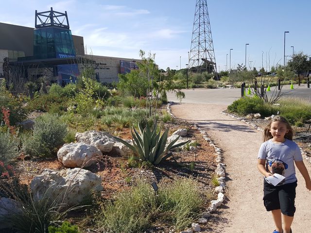Photo of New Mexico Junior College