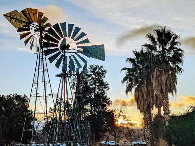 Photo of New Mexico State University-Main Campus