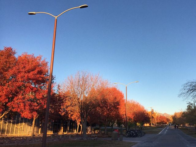 Photo of New Mexico State University-Main Campus