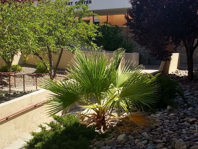 Photo of New Mexico State University-Alamogordo