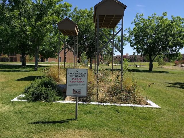 Photo of New Mexico State University-Dona Ana