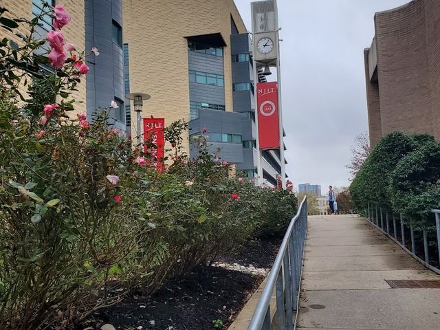 Photo of New Jersey Institute of Technology