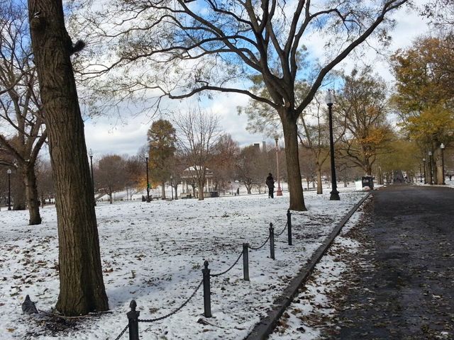 Photo of New York Institute of Technology