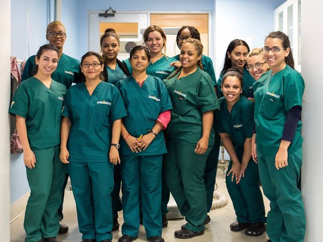 Photo of New York School for Medical and Dental Assistants