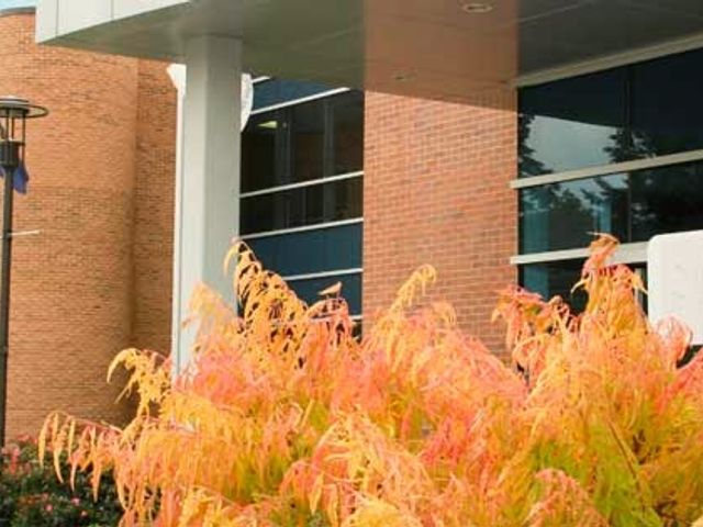 Photo of Nebraska Methodist College of Nursing & Allied Health