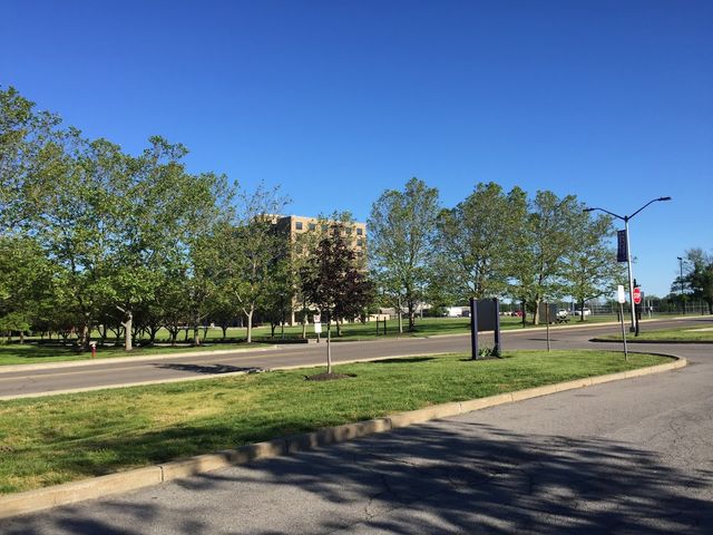 Photo of Niagara University