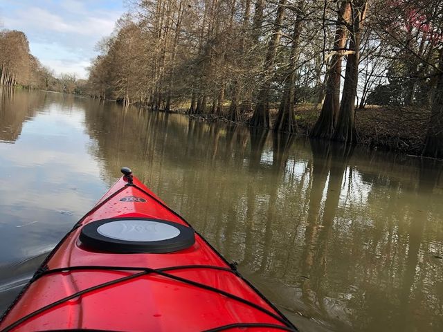 Photo of Nicholls State University