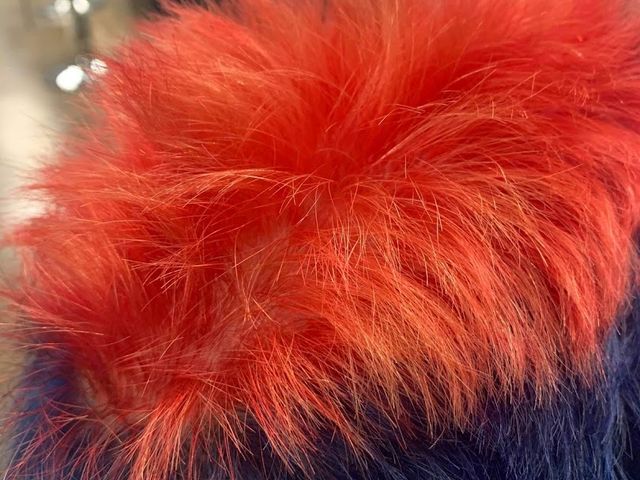 Photo of Nuvo College of Cosmetology