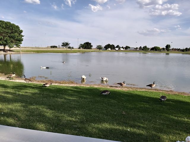 Photo of South Plains College