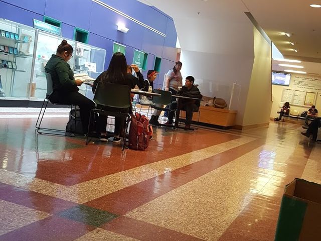 Photo of South Texas College