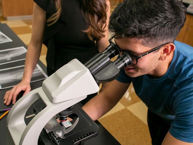 Photo of South University-Austin