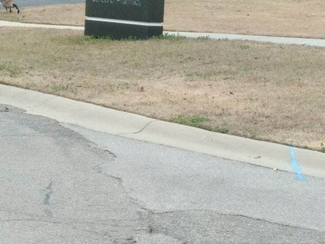 Photo of South University-Columbia